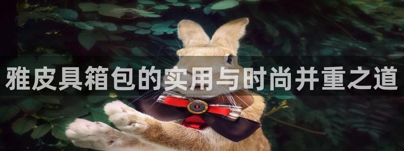 琳琅娱乐工作室招聘信息