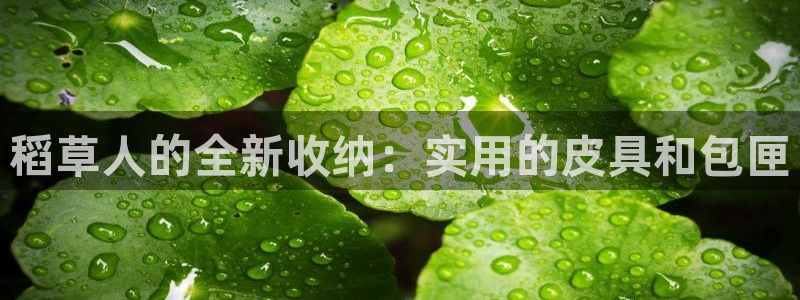 琳琅QQ娱乐机器人
