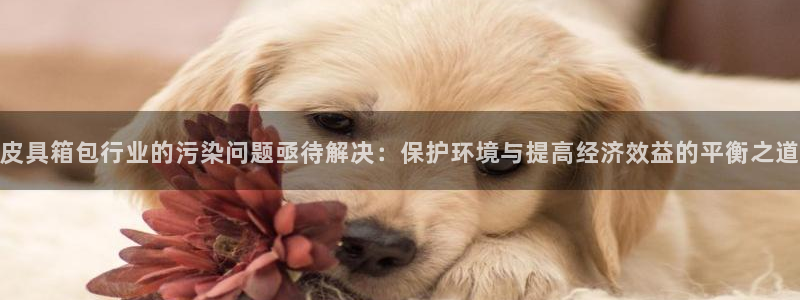 琳琅娱乐工作室地址