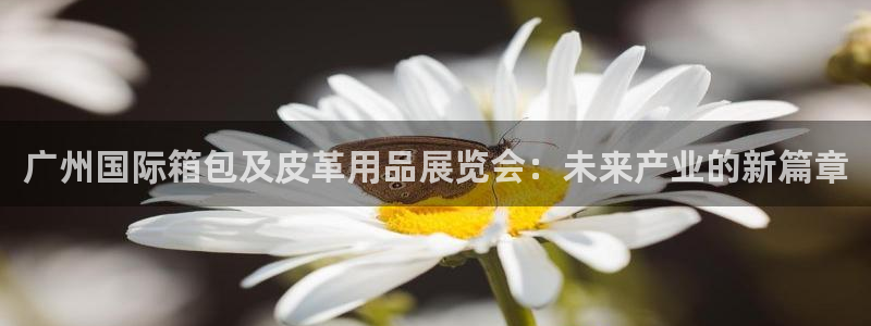 琳琅娱乐怎么样知乎