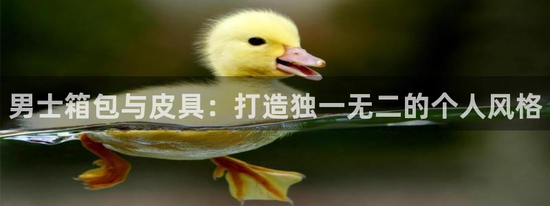 琳琅娱乐注册资金多少