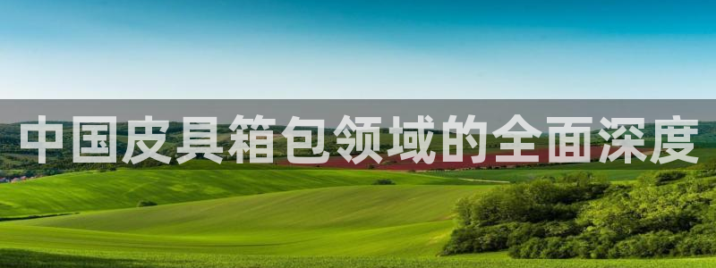 琳琅娱乐 全麦优质