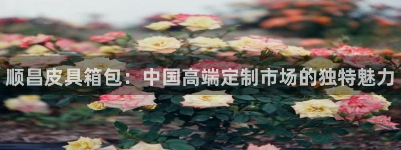 琳琅娱乐工作室招聘条件