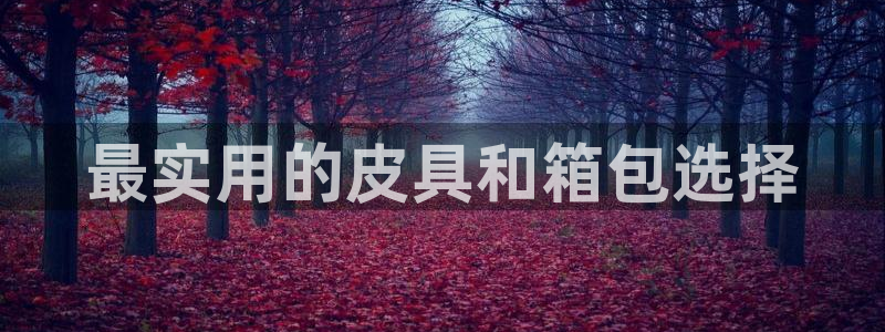 琳琅娱乐免费线上观看