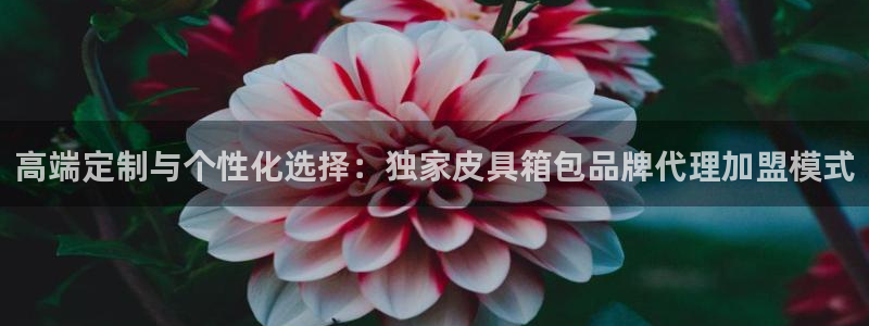 琳琅国际娱乐会所电话