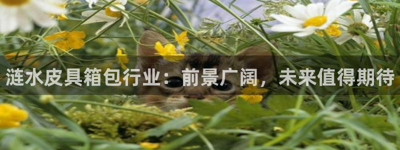 孝感琳琅娱乐会所