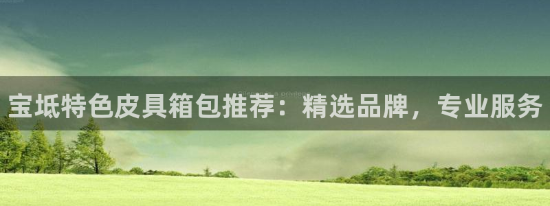 娱乐从琳琅榜开始的小说
