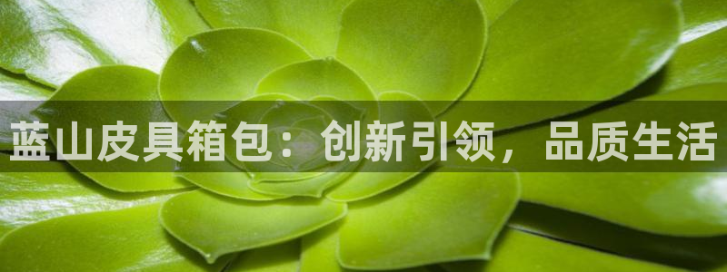 琳琅娱乐工作室