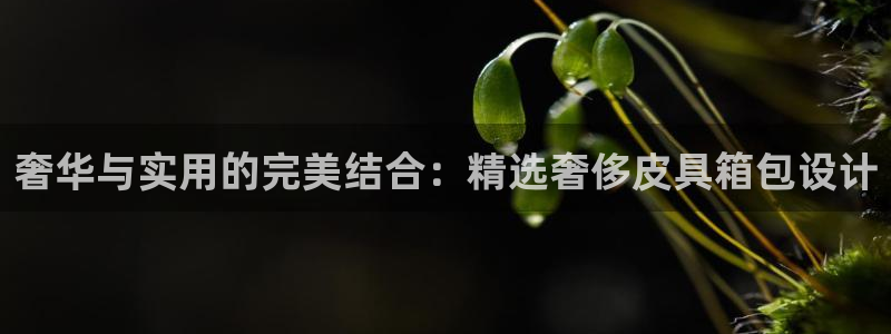 琳琅娱乐领先33300