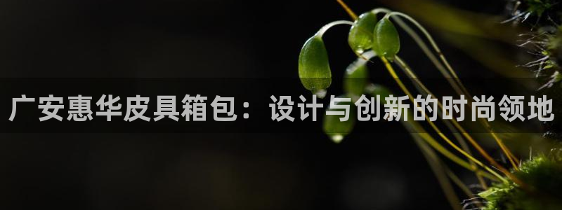 琳琅娱乐注册登录