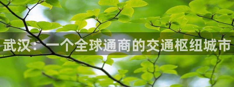 琳琅科技娱乐机器人插件