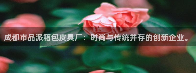 琳琅娱乐工作室