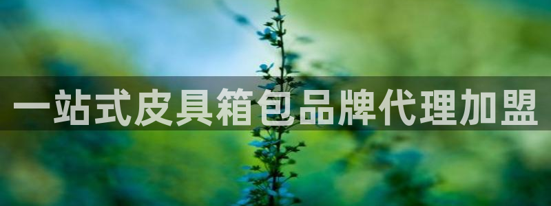 琳琅聊娱乐