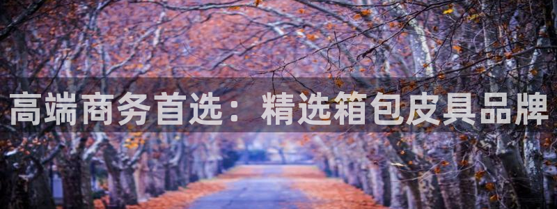 琳琅科技娱乐机器人