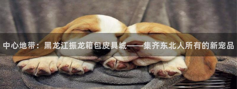 琳琅满目的娱乐设施