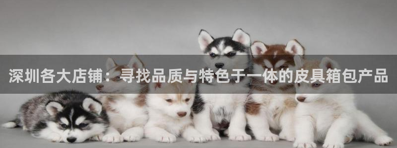 琳琅娱乐温柔乡网站