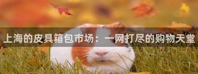 琳琅社区娱乐视频