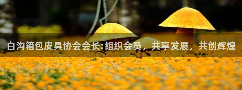 琳琅娱乐登入