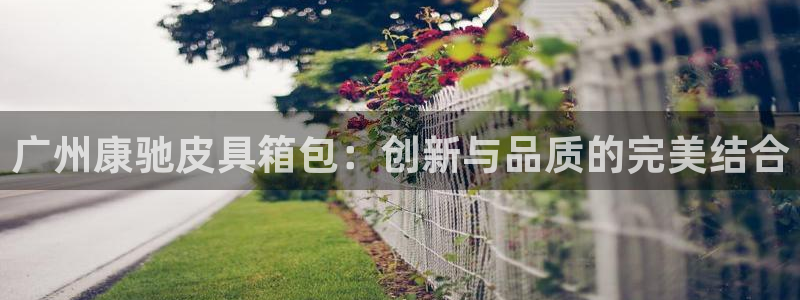 琳琅娱乐工作室地址查询