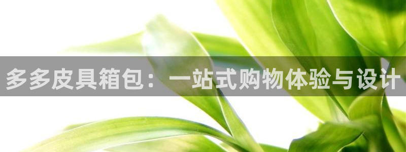 琳琅娱乐工作室地址查询