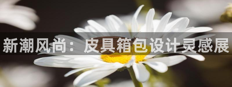 琳琅科技娱乐qq机器人词库