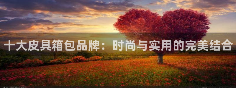 琳琅娱乐注册资金多少钱