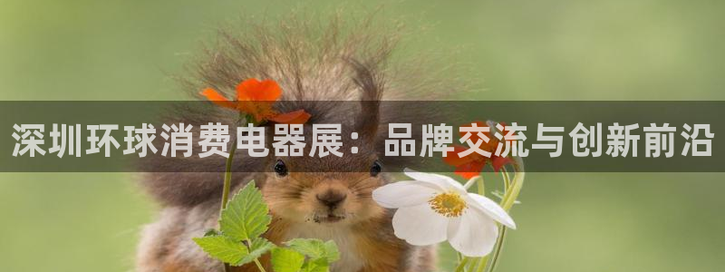 琳琅娱乐是什么