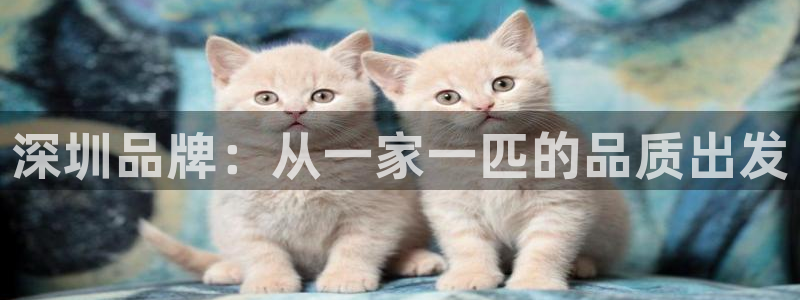 琳琅娱乐平台