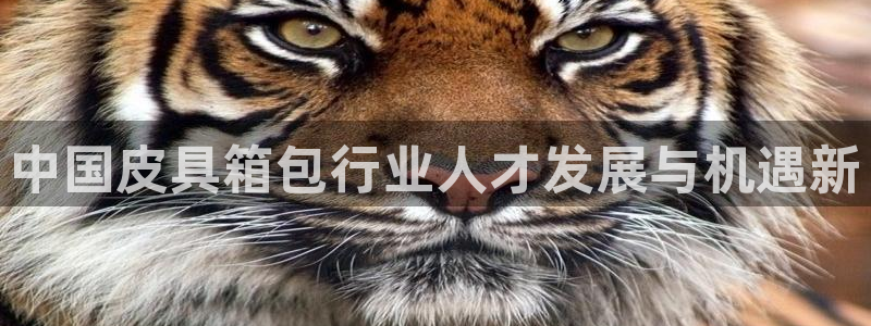 qq琳琅科技娱乐机器人