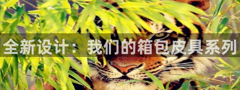 琳琅娱乐装7O777