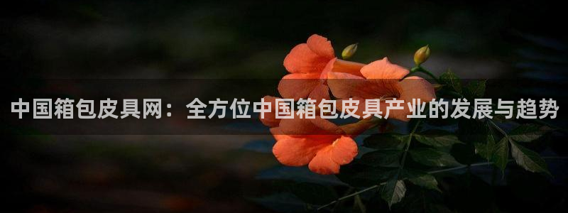 琳琅娱乐
