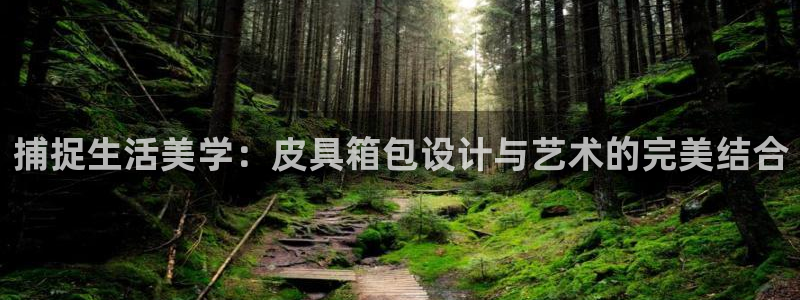 琳琅娱乐工作室怎么样啊