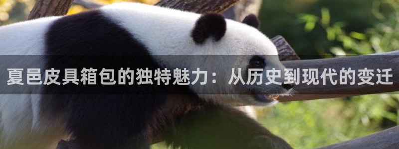 琳琅娱乐代理注册