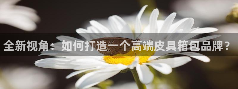 琳琅娱乐工作室地址