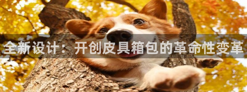 琳琅娱乐怎么样